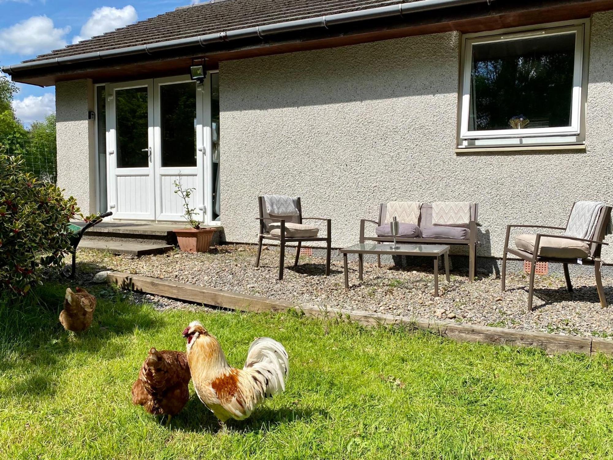 Homestead Cottage, Fort Augustus Exteriér fotografie